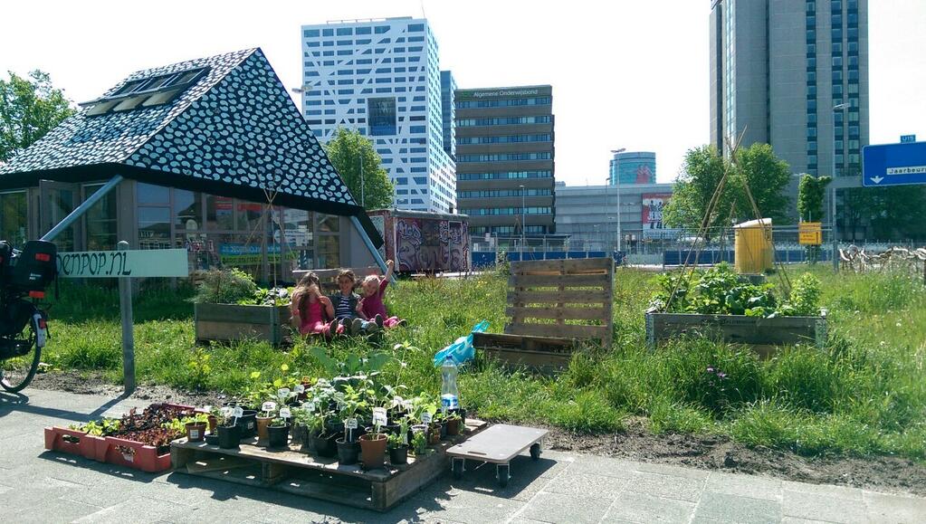 mobiele tuinen, moestuinbakken1.jpg