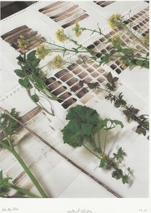 Material studies and samples.jpg